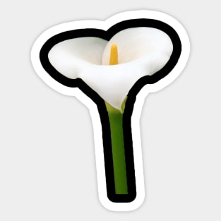 White Cala Lily Sticker